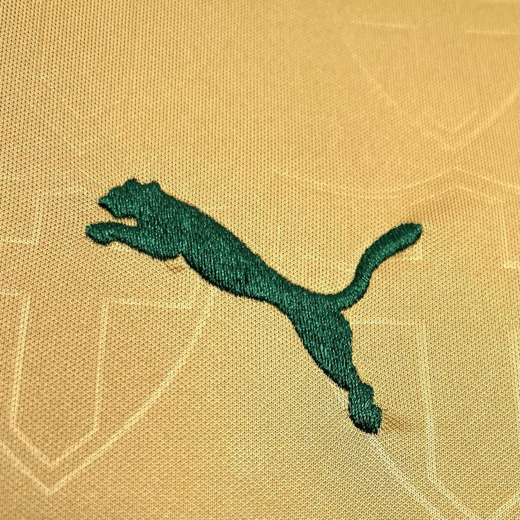 Palmeiras Troisième 24/25