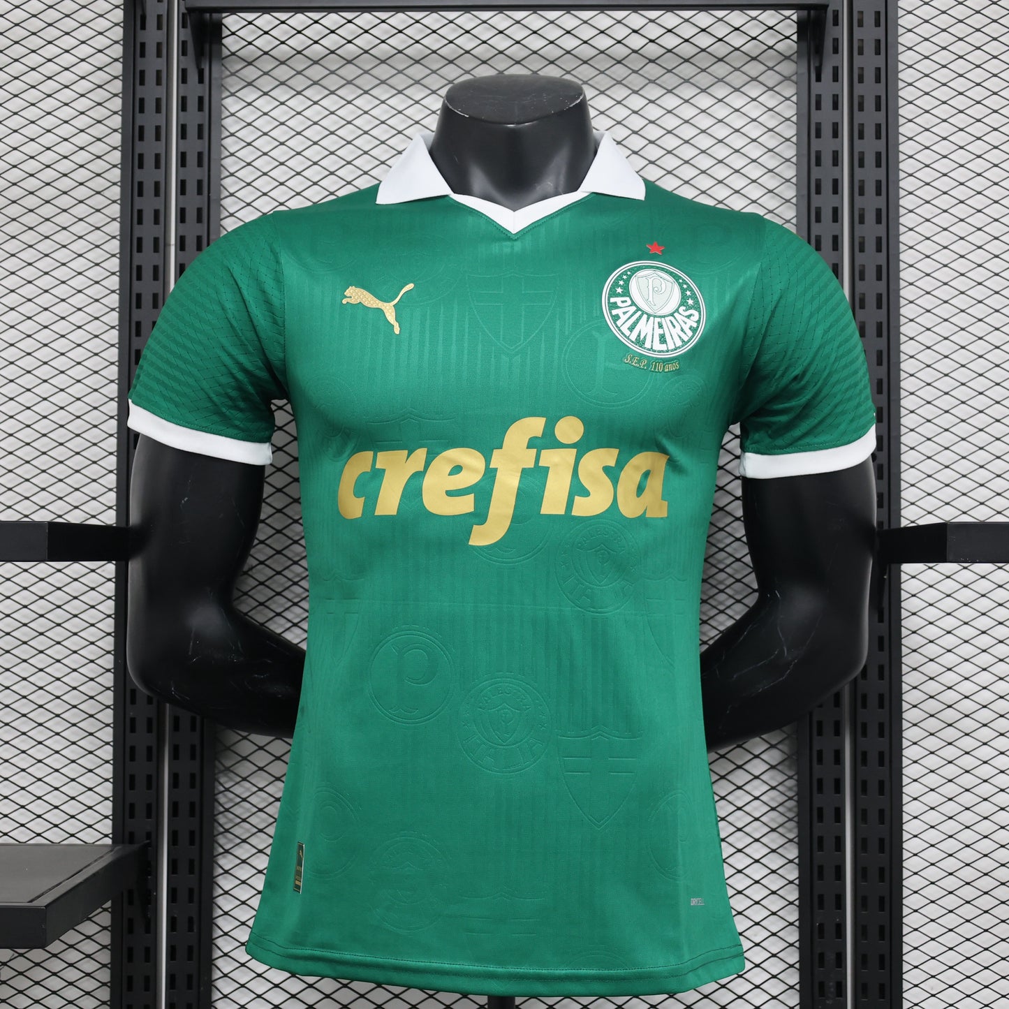 Palmeiras Domicile 24/25