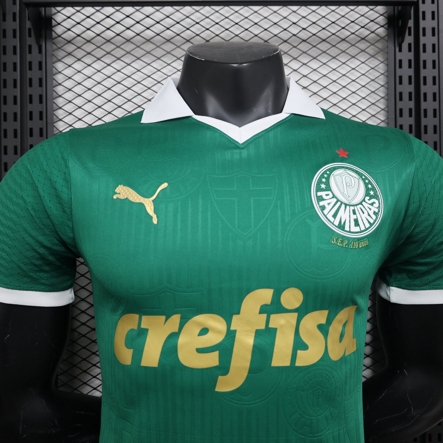 Palmeiras Domicile 24/25